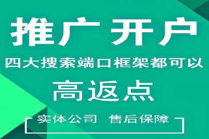 行业首例：SEM推广竞价代运营的突破与挑战